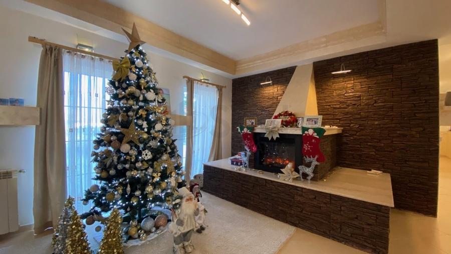 REV2003389 Vila Pantelimon proximitatea lacului - 1