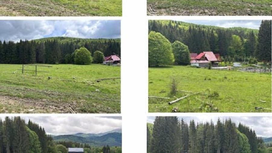 Teren intravilan - 5000 mp, Valea Doftanei - 2