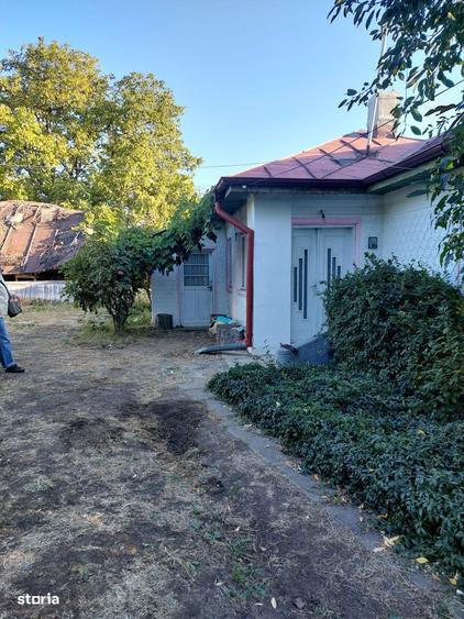 Teren intravilan 8.759 mp cu casa + vie | Utilitati complete - 5