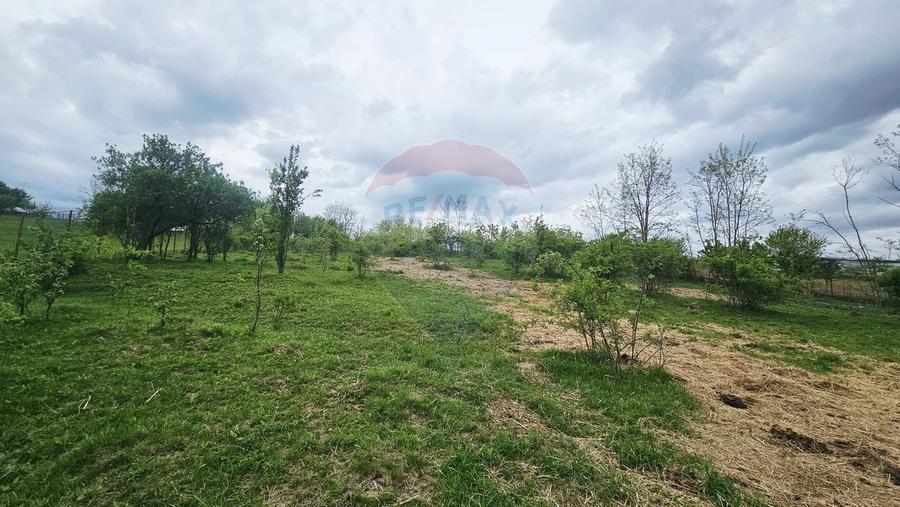 Teren Construcții intravilan de 5350 mp, în Dobreni