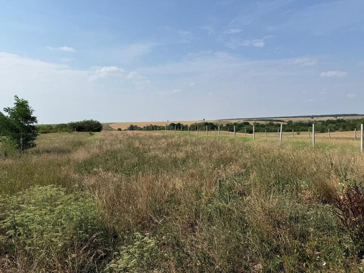 Teren Construcții intravilan de 1203 mp, în Miersig