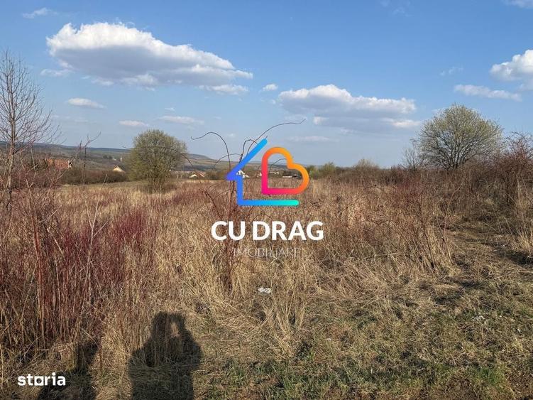 Spațiu comercial, în Nou