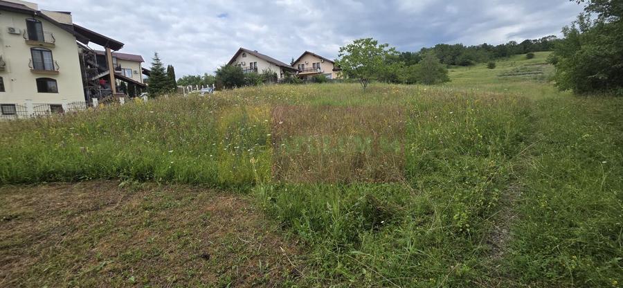 Teren Construcții intravilan de 871 mp, în Mușcel
