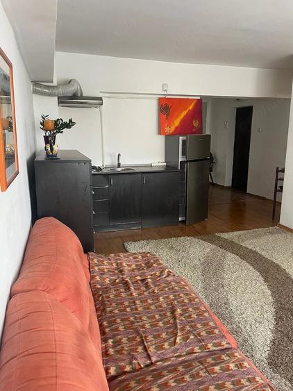 Ap. 3 camere - Pacurari (PET FRIENDLY) - 11