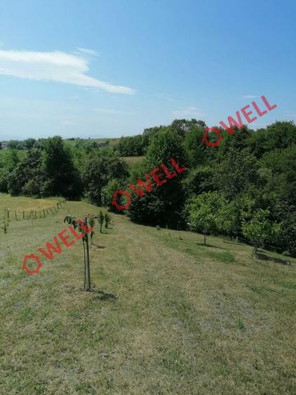 Teren agricol intravilan de 1523 mp, în Calnic