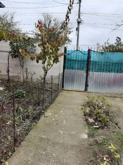 Casă cu 2 camere cu Teren 2930 Mp în Valea Stanciului