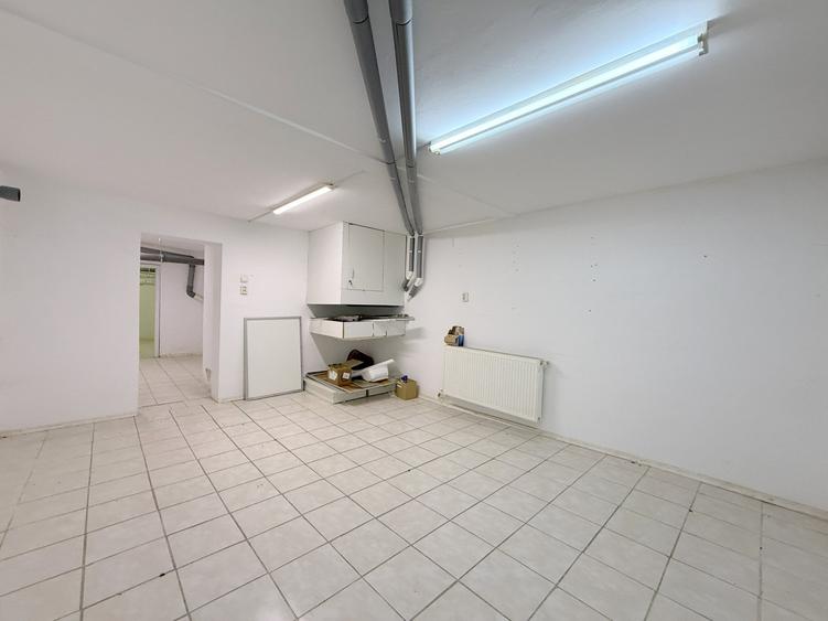 Spațiu Comercial 60 mp + 60 mp Subsol | Vad Comercial Micro 17 (Piață) - 17