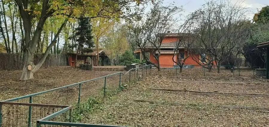 Villa |  ideal investment  Land with access to Snagov lake - 10