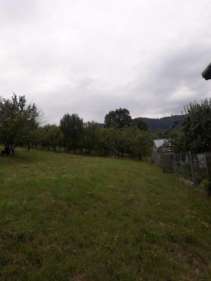 Teren intravilan Varatec, Neamt - 5