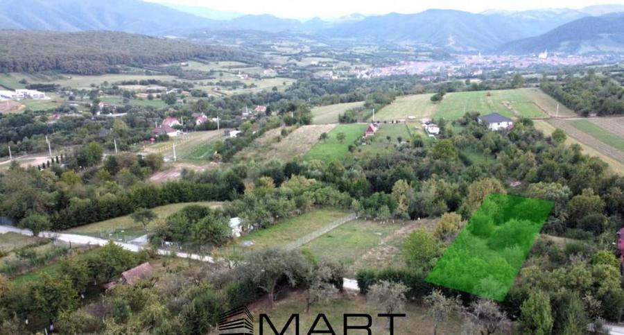 Teren intravilan 1000mp Tropinii Noi - 4