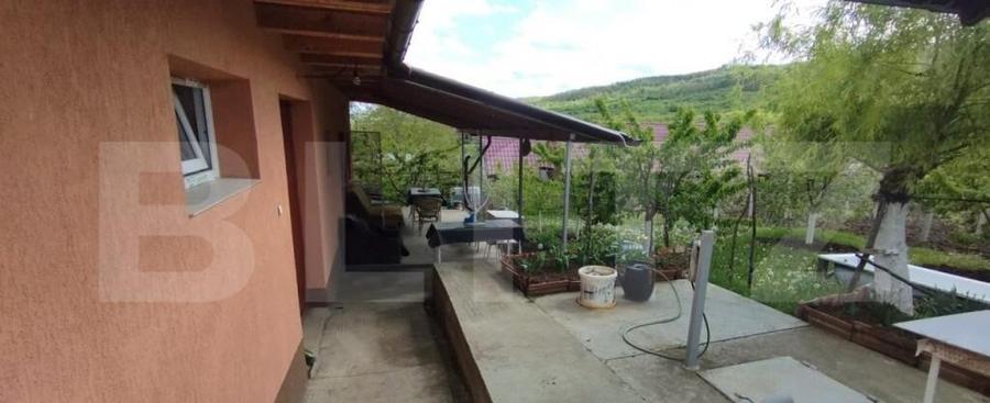 Casa+ casa vacanta, 2200 mp livada, Schitu-Duca - 10