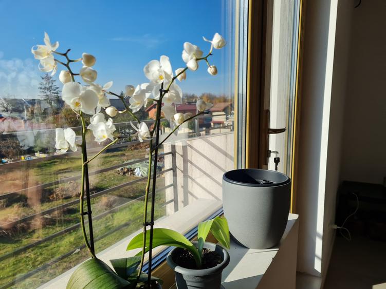 Ap. lux,4 cam.s.totala. 247mp utili ,pe tot etajul 1 ,+camera la mansarda 21mp! - 20