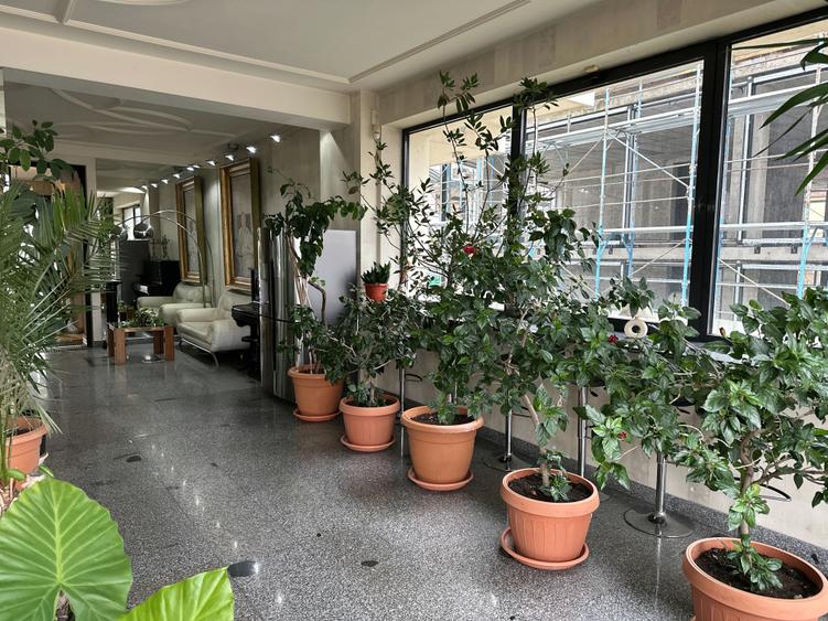 Reședință exclusivistă pe malul lacului - Exclusive Residence on the Lakefront - 32