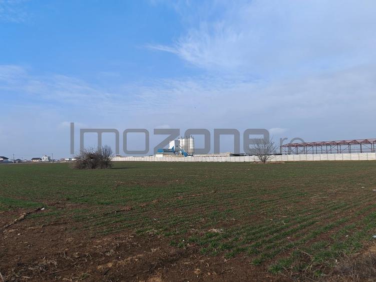 Dragomiresti Valea - Langa Centura, teren 31.200 mp, 35E/mp - 3