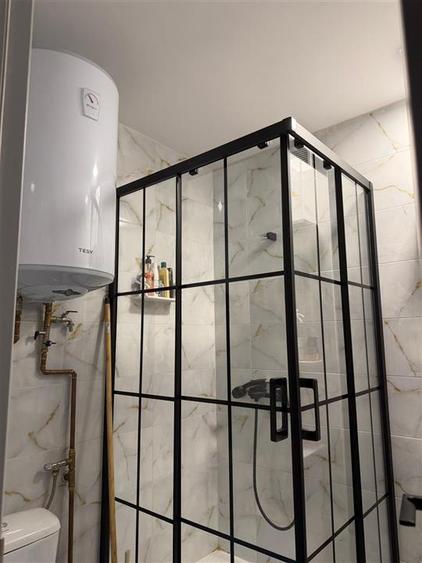 Comision 0! Studio modern-Vedere panoramica la lac-Lacul Plumbuita - 6