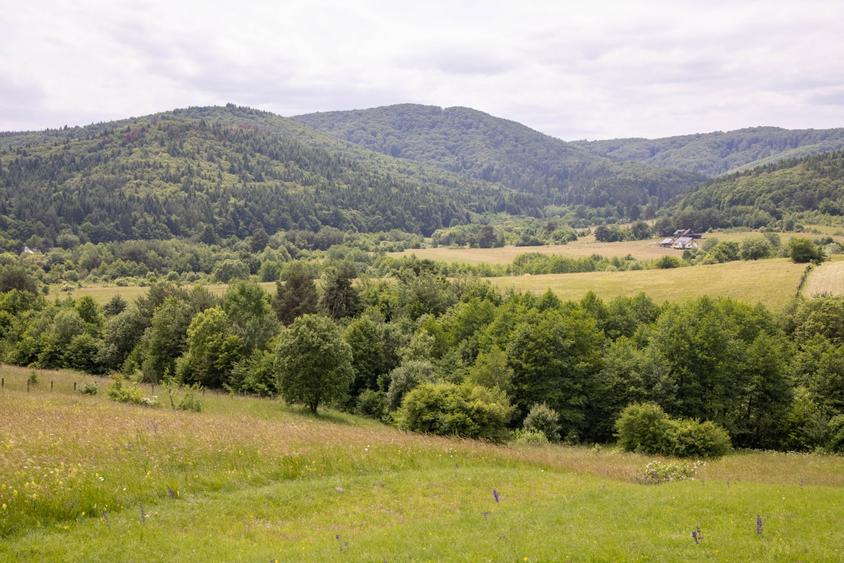 Teren cu potențial turistic în Vulcan BV– vedere panoramică - 13