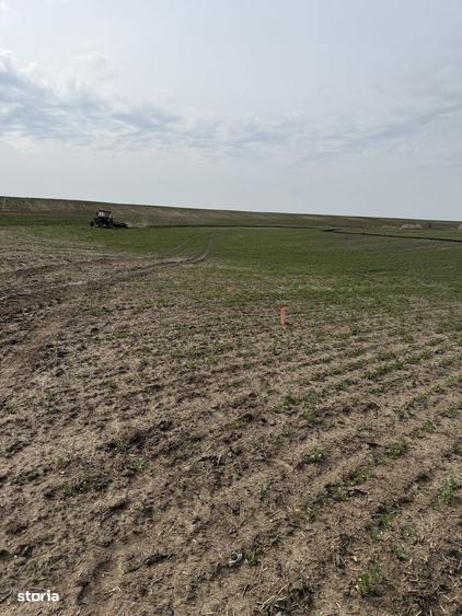 Teren arabil Vasilati - 2