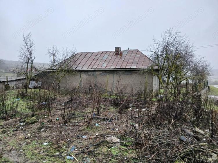 Casă cu Teren 3170 Mp în Cerbu