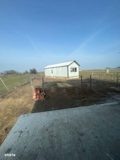 Casa la rosu-Dobreni/Berceni - 15