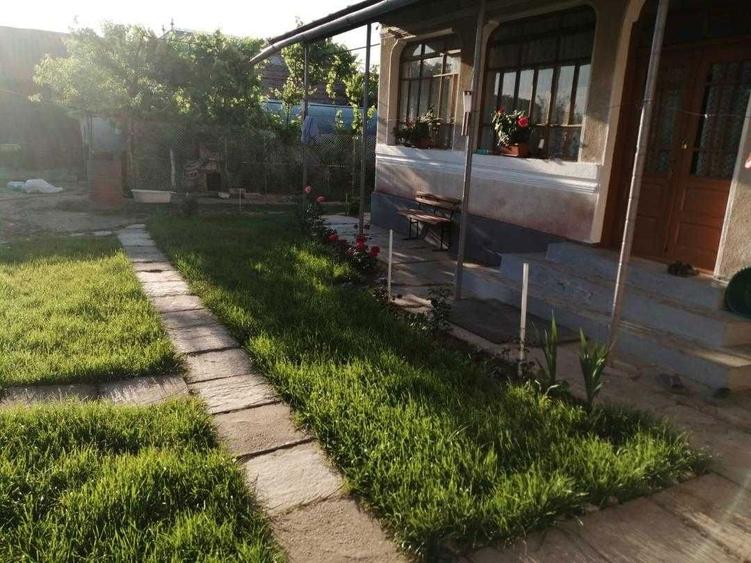 Casa + teren (6116 mp) Cucuieti, Verguleasa (Olt) ideal locuinta - 6