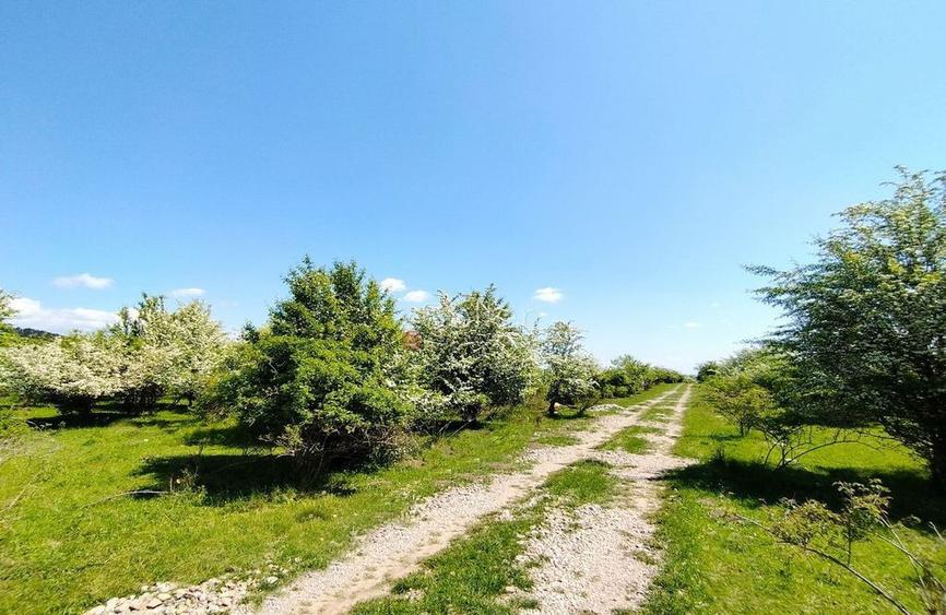 Teren Intravilan - 5