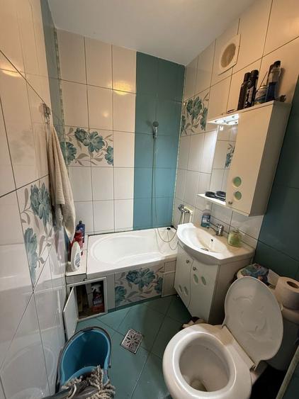 Camera de camin Lapus Arges parter - 2