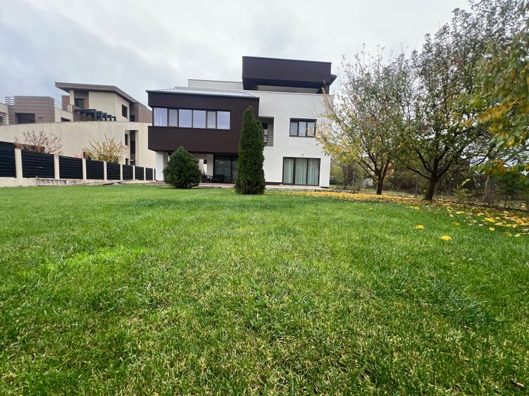 Dimitrie Leonida Metrou - 39