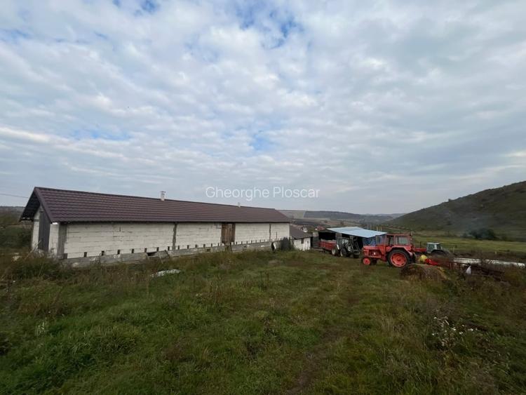 Oferta de vanzare ferma: hala de 500 mp.+teren 6500 mp, Frata