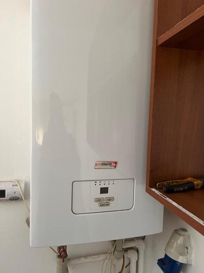 Mioveni - Cosesti - stradal, IDEAL  LOCUINTA/SPATIU COMERCIAL - teren 1250 mp - 11