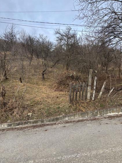 Teren de vanzare Fieni Dambovita - 1