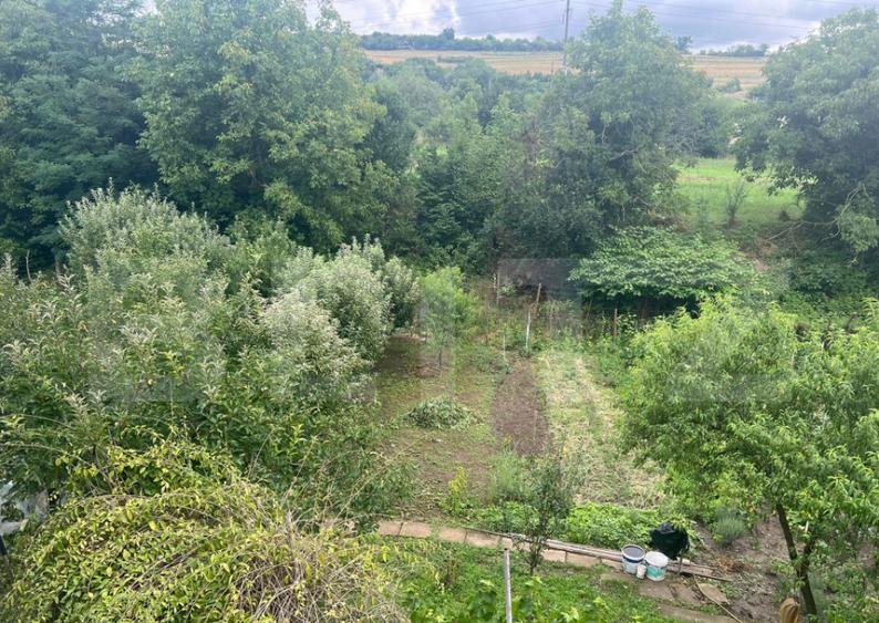 Doua case in aceea?i curte Targu Mure?, teren 1000 - 8