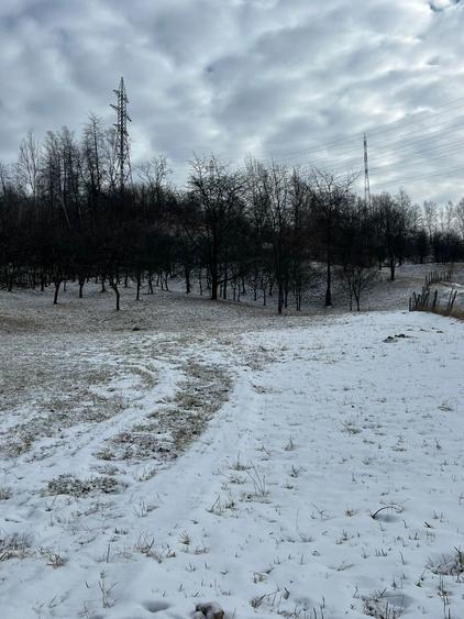 Vand teren intravilan - 6