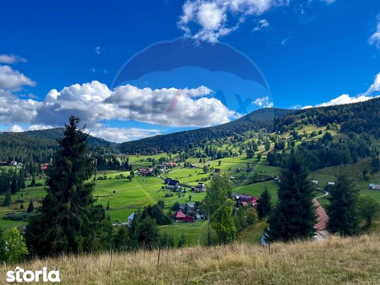 Oaza de lini?te in inima Apusenilor teren 6.500 mp Arie?eni - 5