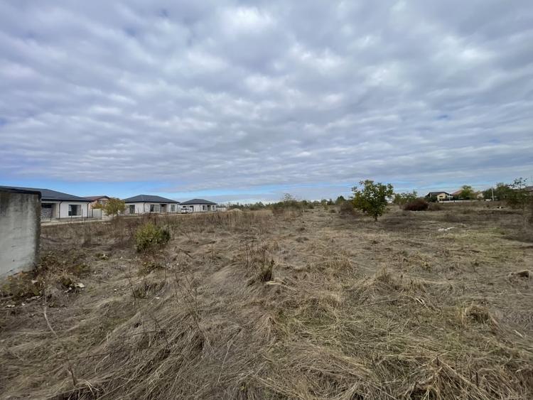 Domnesti, Drumul Targului, teren 1876 mp, 66ml x 28 ml, utilitati la strada - 1