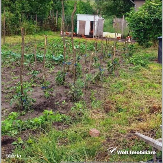 Oaza de liniste la 30 km de Cluj: Casa complet renovata cu gradina gen - 2