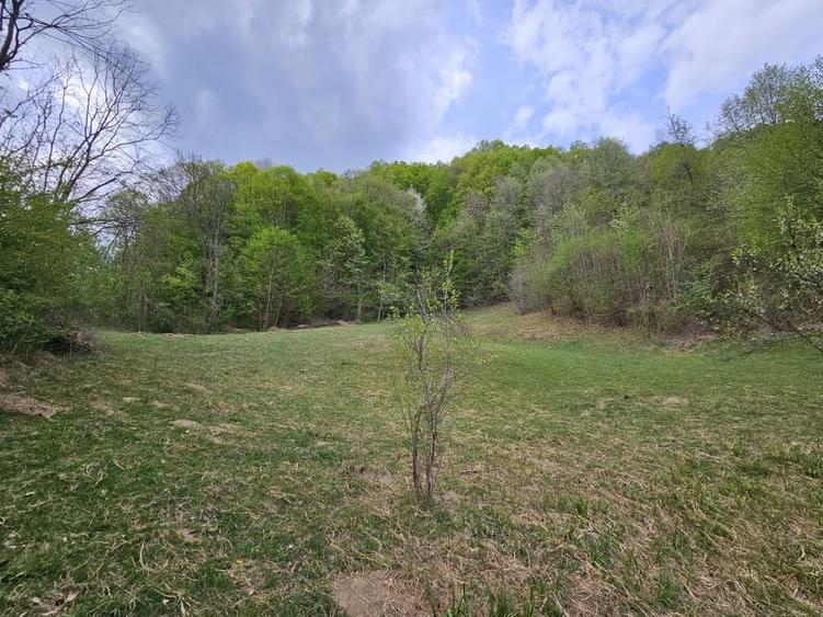 Teren intravilan 1454 mp la marginea padurii zona locuita de case! - 5