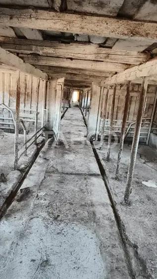 Microferma cu locuinta de vanzare in Pianu de sus - 10