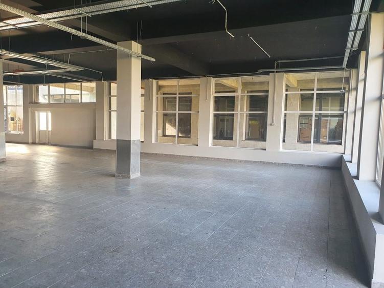 Spatiu comercial Nicolina - 3