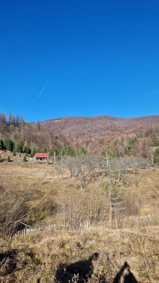 Teren Campul lui Neag Valea Parosenilor - 2