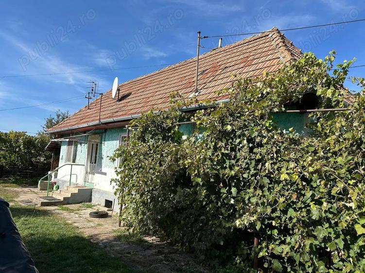 Proprietar vand casa cu teren in Chichis - 7