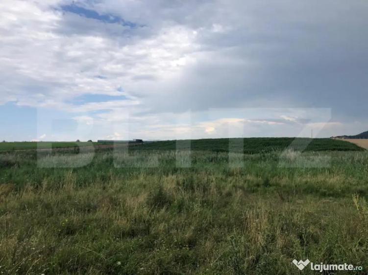 Teren Intravilan de 1000 mp in Sanpetru, Bra?ov Zona - 2