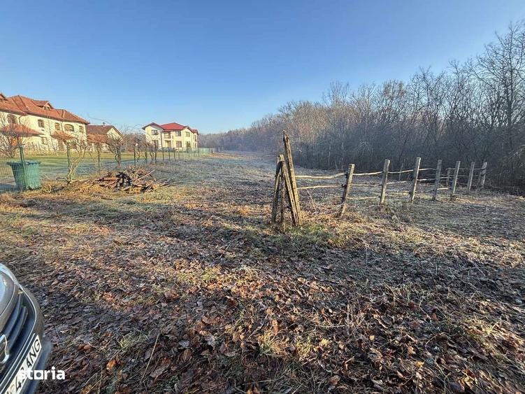 VAND TEREN INTRAVILAN IN GAGENI-PRAHOVA - 5