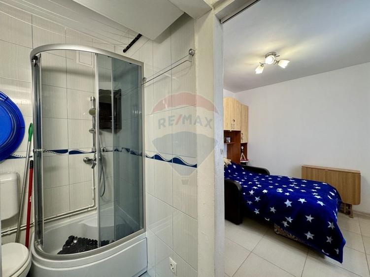 Comision 0% De Inchiriat camera camin | str. Albastrelelor | - 8