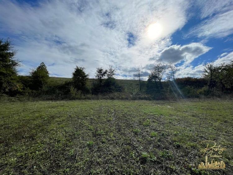 Teren intravilan cu panorama superba situat in Sumugiu - Bihor - 4