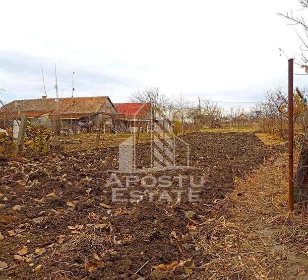 Teren 1000mp Cu Utilitati Dudesti Noi - 11