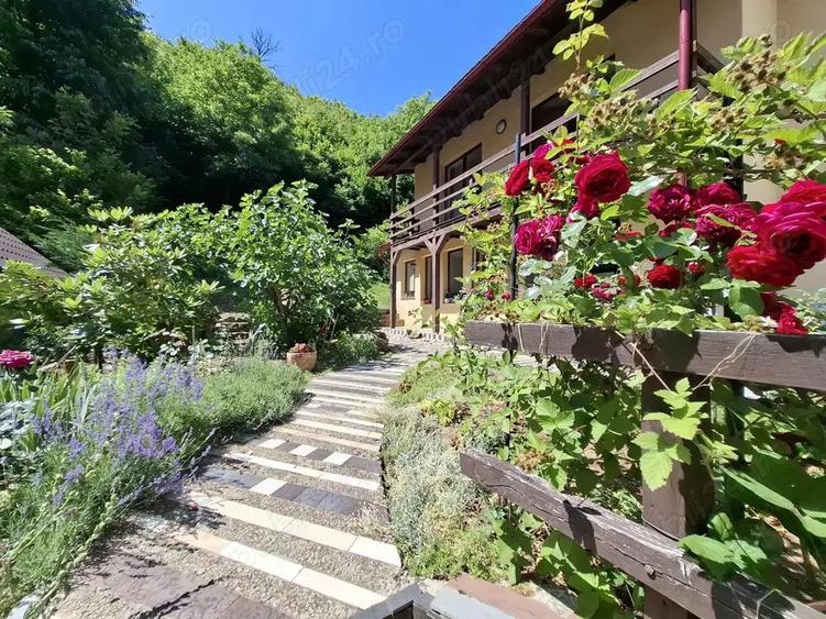 Str. Valea Rosie proprietate compusa din 2 imobile, casa P+M si una pe parter - 1