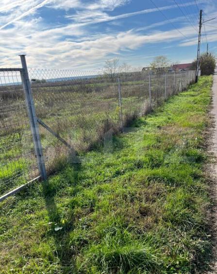 Teren 19.240 mp Geangoesti, Dambovita - 4