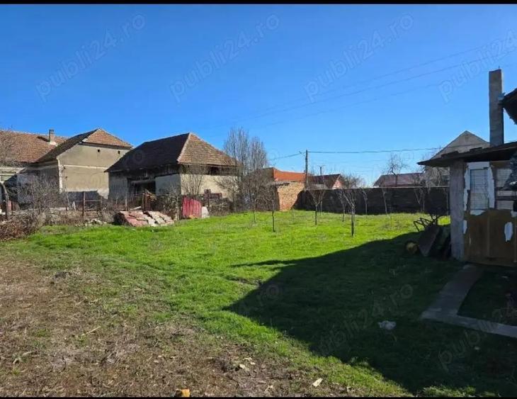 Vand casa Satchinez - 2
