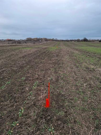 Teren Intravilan de Vanzare - 5