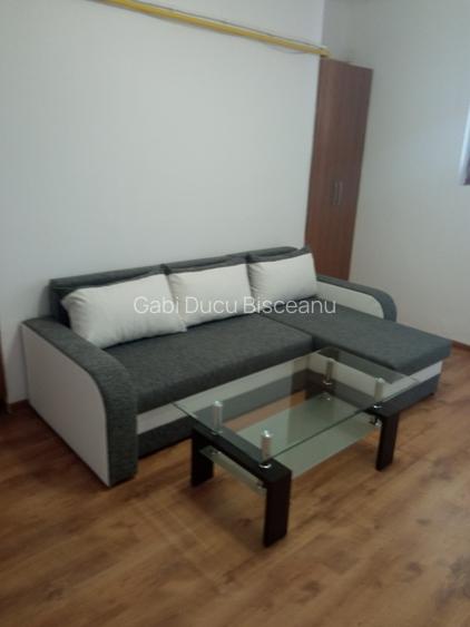 Apartament 2 Camere Parcul Carol | Centrala proprie